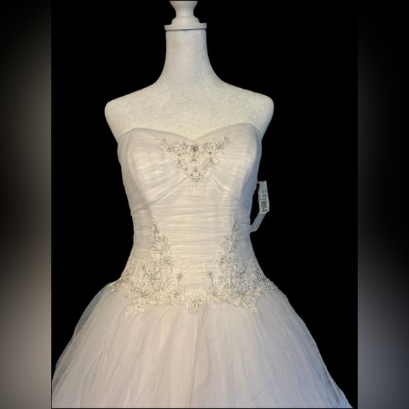 Size 4 Jewel by David’s Bridal Wedding Gown - Picture 4 of 11